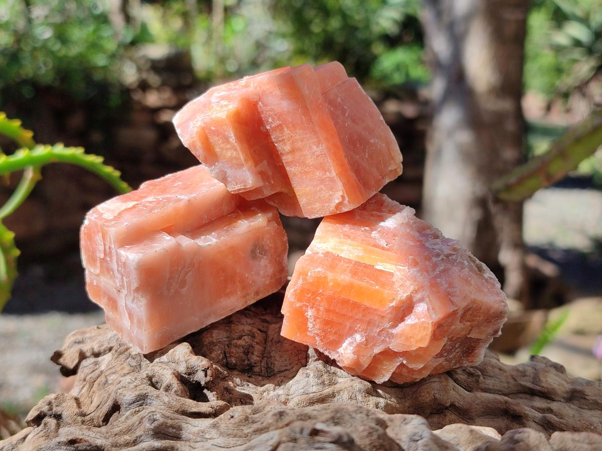 Natural Rhombohedral Sunset Orange Calcite Specimens x 24 From Spitzkop, Namibia - Toprock Gemstones and Minerals 