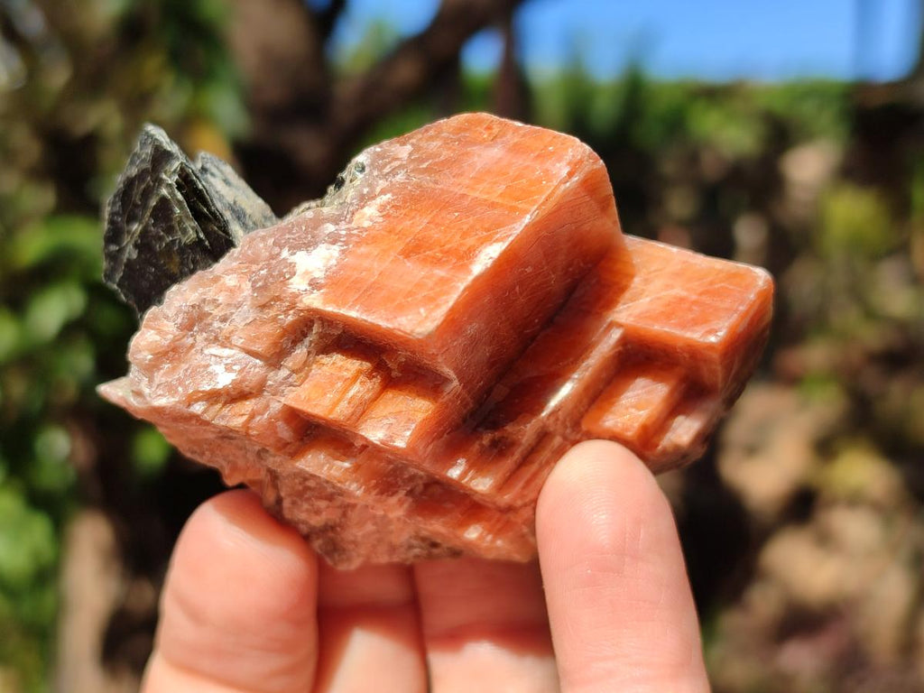 Natural Rhombohedral Sunset Orange Calcite Specimens x 24 From Spitzkop, Namibia - Toprock Gemstones and Minerals 