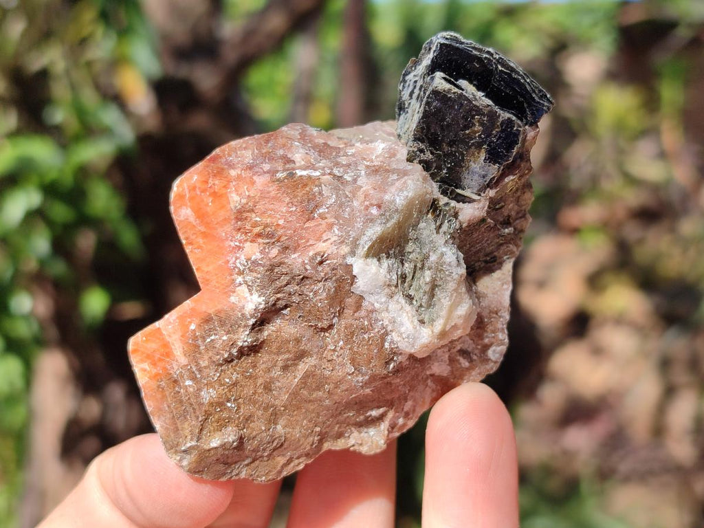 Natural Rhombohedral Sunset Orange Calcite Specimens x 24 From Spitzkop, Namibia - Toprock Gemstones and Minerals 