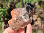 Natural Rhombohedral Sunset Orange Calcite Specimens x 24 From Spitzkop, Namibia - Toprock Gemstones and Minerals 