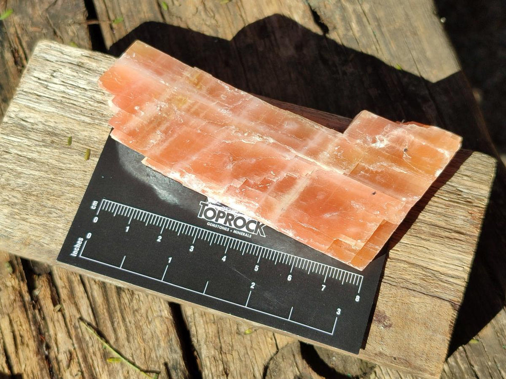 Natural Rhombohedral Sunset Orange Calcite Specimens x 24 From Spitzkop, Namibia - Toprock Gemstones and Minerals 