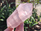 Polished Double Terminated Gemmy Rose Quartz Crystals x 6 From Madagascar - Toprock Gemstones and Minerals 