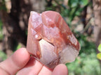 Natural Red Hematoid Quartz Crystals x 35 From Karoi, Zimbabwe - Toprock Gemstones and Minerals 