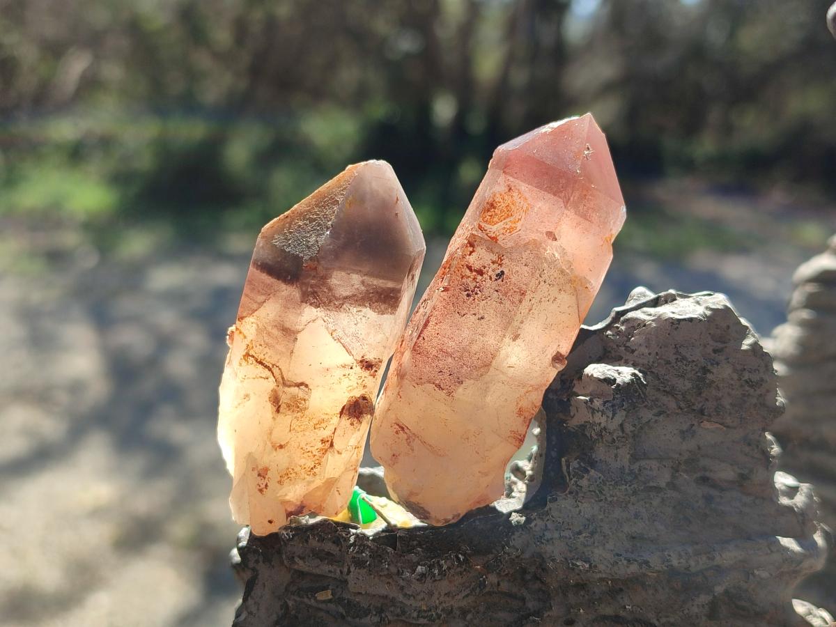 Natural Red Hematoid Quartz Crystals x 35 From Karoi, Zimbabwe - Toprock Gemstones and Minerals 