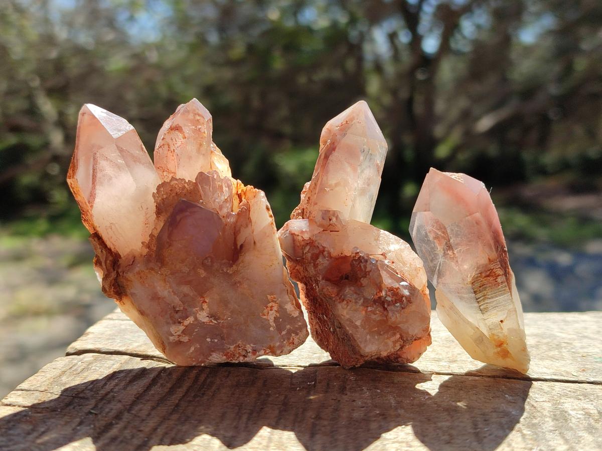 Natural Red Hematoid Quartz Crystals x 35 From Karoi, Zimbabwe - Toprock Gemstones and Minerals 