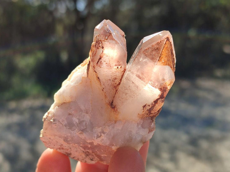 Natural Red Hematoid Quartz Crystals x 35 From Karoi, Zimbabwe - Toprock Gemstones and Minerals 