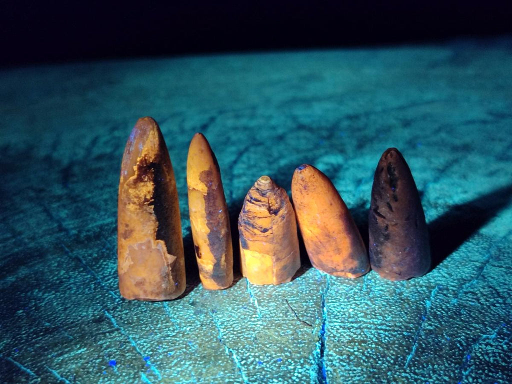 Natural Belemnite Rostrum Fossils x 2.1 Kg Lot From Madagascar - Toprock Gemstones and Minerals 