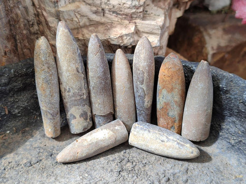 Natural Belemnite Rostrum Fossils x 2.1 Kg Lot From Madagascar - Toprock Gemstones and Minerals 