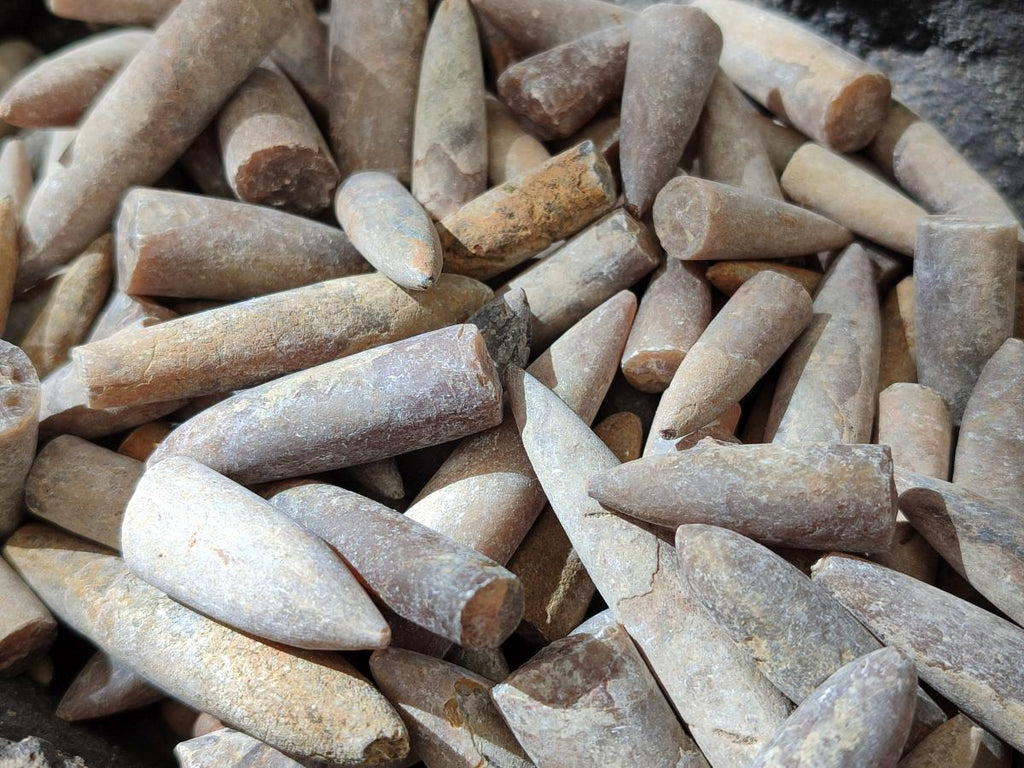 Natural Belemnite Rostrum Fossils x 2.1 Kg Lot From Madagascar - Toprock Gemstones and Minerals 