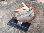 Natural Belemnite Rostrum Fossils x 2.1 Kg Lot From Madagascar - Toprock Gemstones and Minerals 
