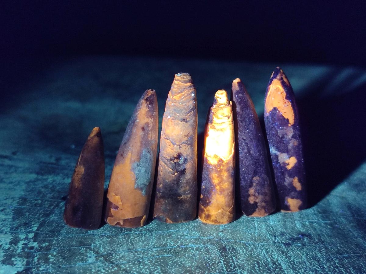 Natural Belemnite Rostrum Fossils x 2.1 Kg Lot From Madagascar - Toprock Gemstones and Minerals 