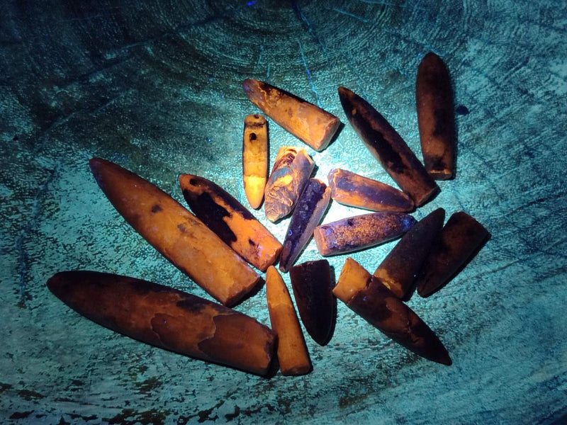Natural Belemnite Rostrum Fossils x 2.1 Kg Lot From Madagascar - Toprock Gemstones and Minerals 