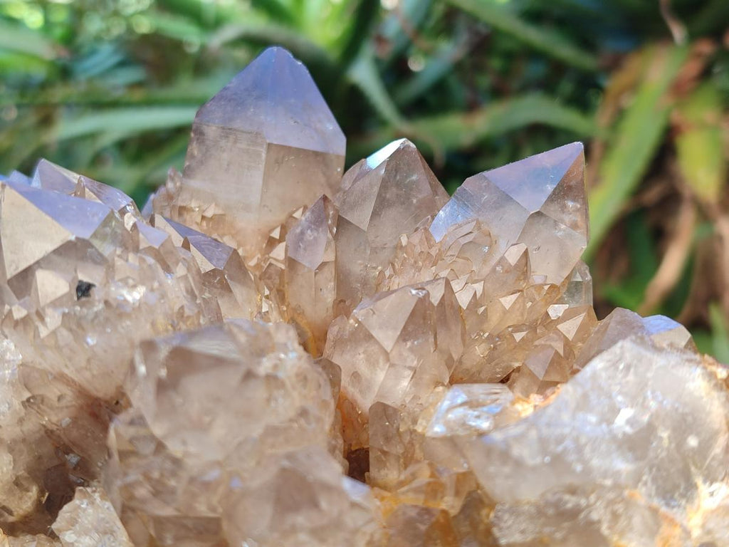 Natural Large Cascading White Phantom Smokey Citrine Quartz Cluster x 1 From Luena, Congo - Toprock Gemstones and Minerals 