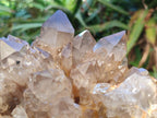 Natural Large Cascading White Phantom Smokey Citrine Quartz Cluster x 1 From Luena, Congo - Toprock Gemstones and Minerals 