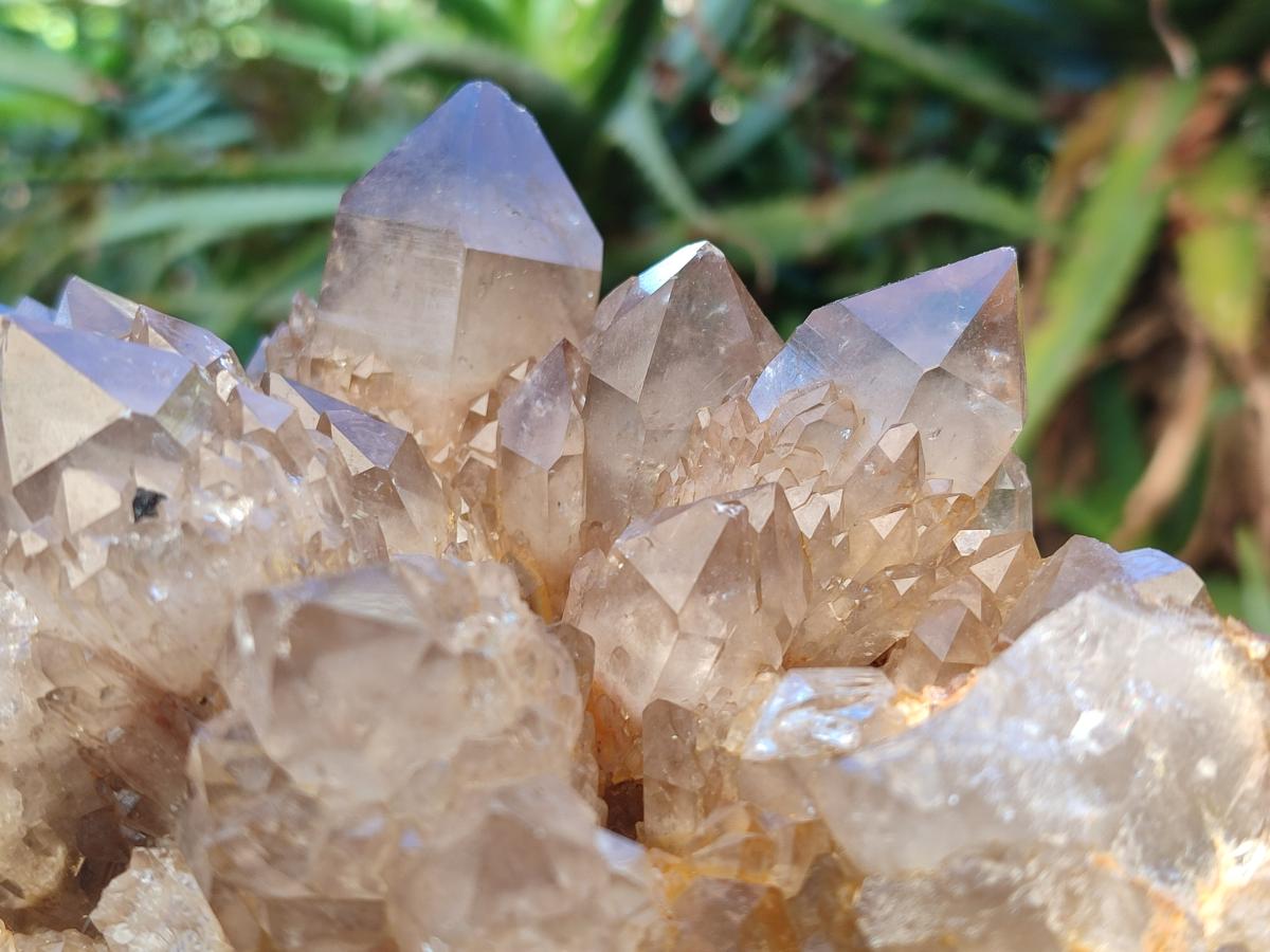 Natural Large Cascading White Phantom Smokey Citrine Quartz Cluster x 1 From Luena, Congo - Toprock Gemstones and Minerals 