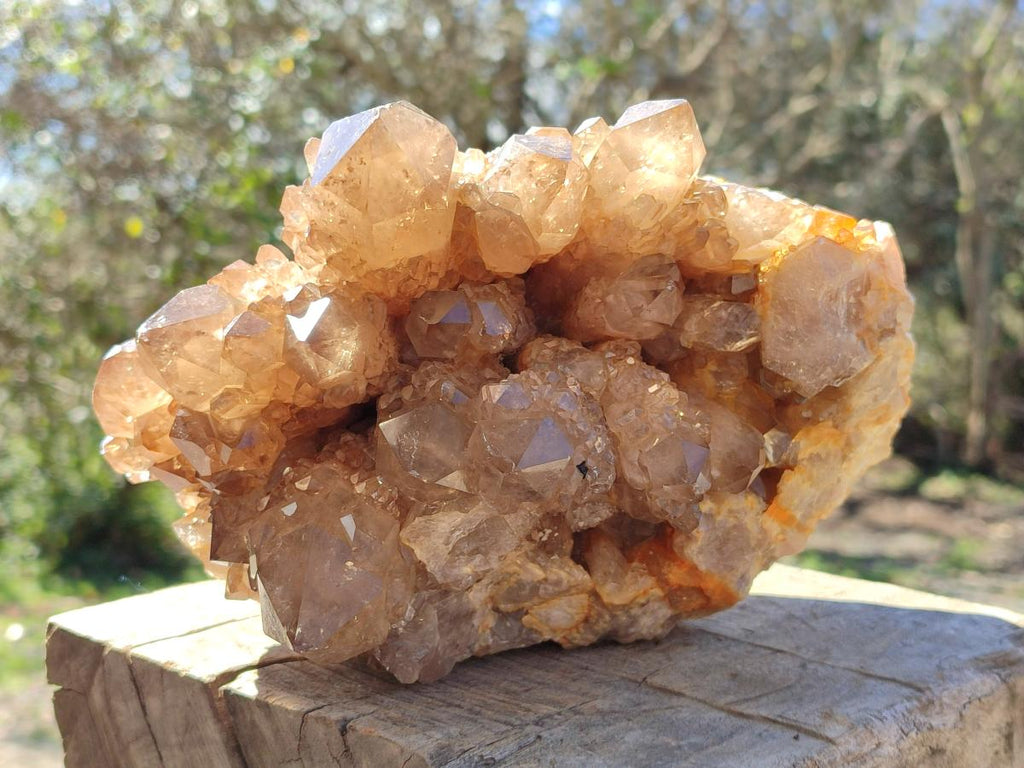 Natural Large Cascading White Phantom Smokey Citrine Quartz Cluster x 1 From Luena, Congo - Toprock Gemstones and Minerals 