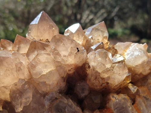 Natural Large Cascading White Phantom Smokey Citrine Quartz Cluster x 1 From Luena, Congo - Toprock Gemstones and Minerals 