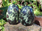 Polished Leopard Stone Standing Display Pieces x 6 From Zimbabwe - Toprock Gemstones and Minerals 