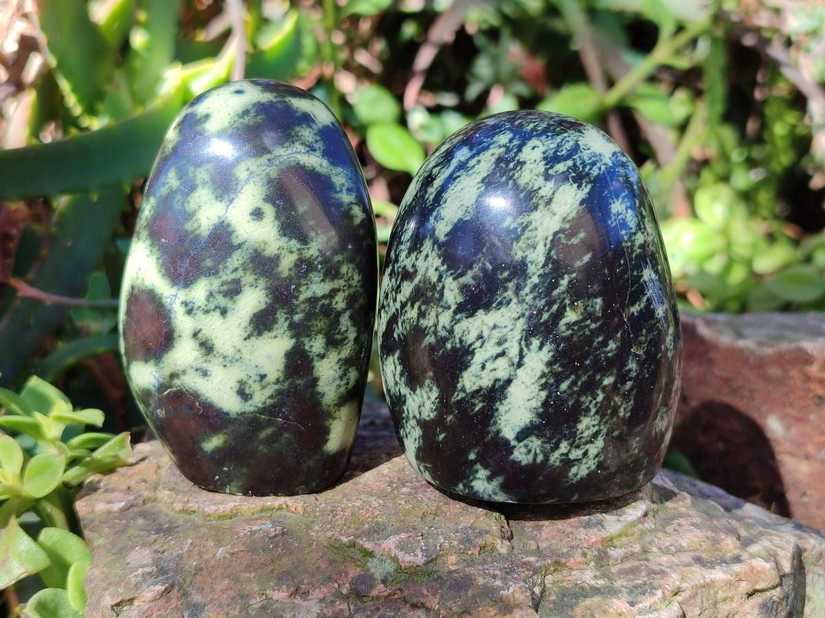 Polished Leopard Stone Standing Display Pieces x 6 From Zimbabwe - Toprock Gemstones and Minerals 