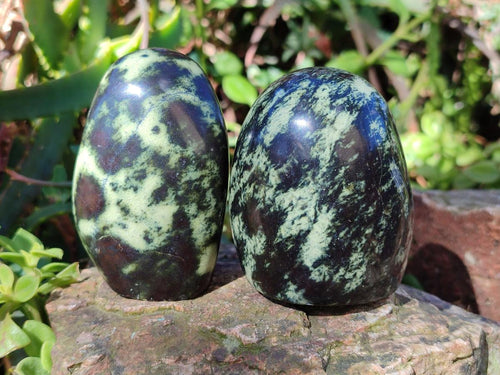 Polished Leopard Stone Standing Display Pieces x 6 From Zimbabwe - Toprock Gemstones and Minerals 