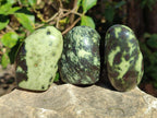 Polished Leopard Stone Standing Display Pieces x 6 From Zimbabwe - Toprock Gemstones and Minerals 