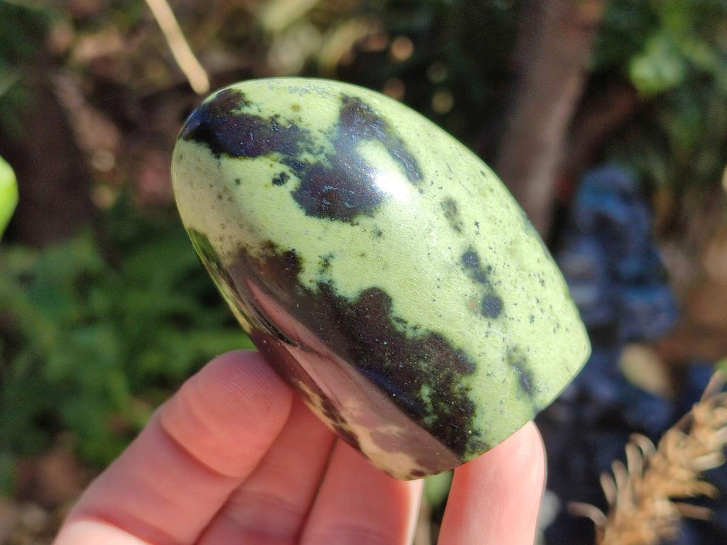 Polished Leopard Stone Standing Display Pieces x 6 From Zimbabwe - Toprock Gemstones and Minerals 