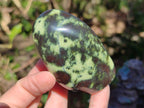 Polished Leopard Stone Standing Display Pieces x 6 From Zimbabwe - Toprock Gemstones and Minerals 