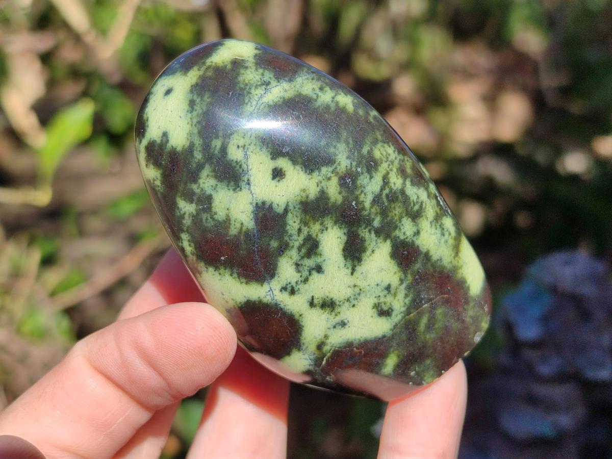 Polished Leopard Stone Standing Display Pieces x 6 From Zimbabwe - Toprock Gemstones and Minerals 