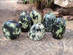 Polished Leopard Stone Standing Display Pieces x 6 From Zimbabwe - Toprock Gemstones and Minerals 