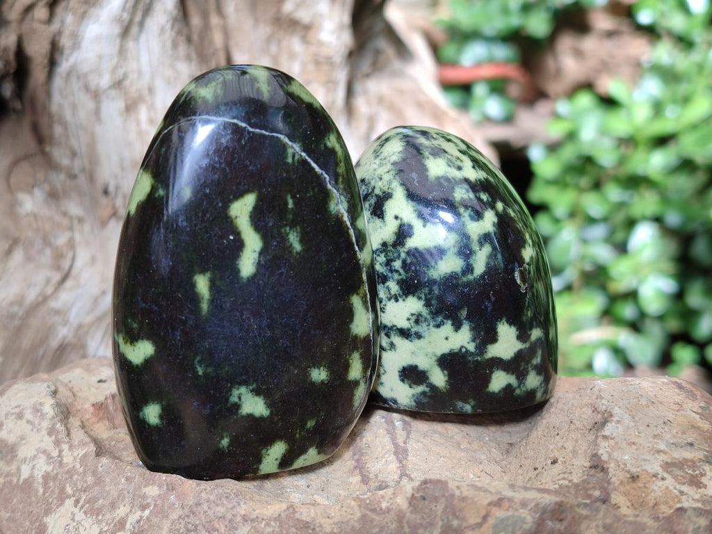 Polished Leopard Stone Standing Display Pieces x 6 From Zimbabwe - Toprock Gemstones and Minerals 