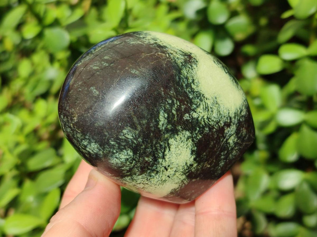 Polished Leopard Stone Standing Display Pieces x 6 From Zimbabwe - Toprock Gemstones and Minerals 