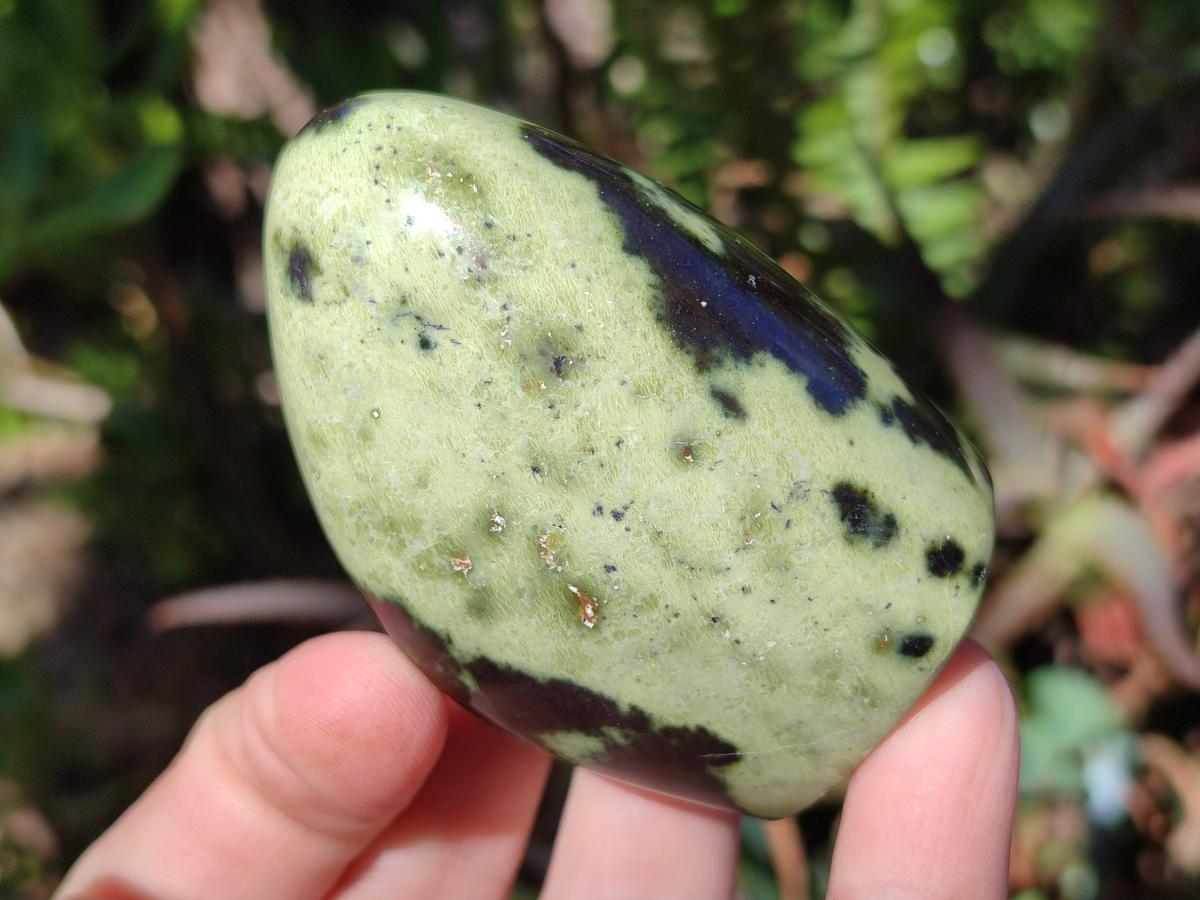 Polished Leopard Stone Standing Display Pieces x 6 From Zimbabwe - Toprock Gemstones and Minerals 