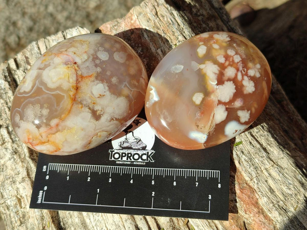 Polished Flower Agate Palm Stones x 12 From Antsahalova, Madagascar - Toprock Gemstones and Minerals 