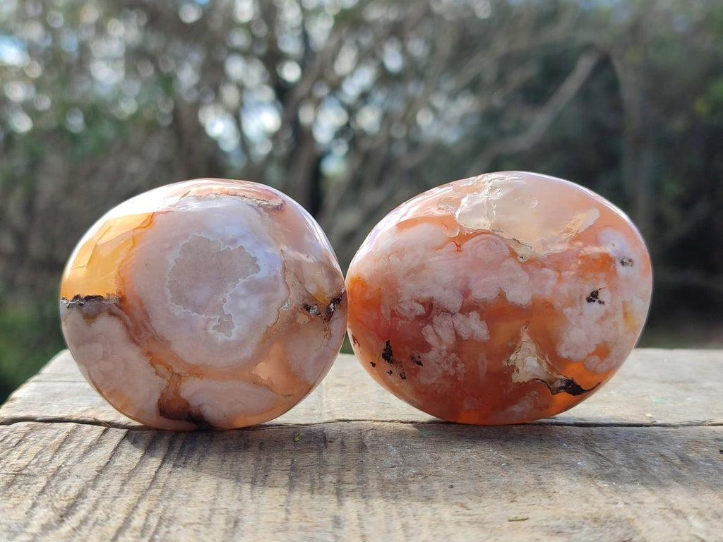 Polished Flower Agate Palm Stones x 12 From Antsahalova, Madagascar - Toprock Gemstones and Minerals 