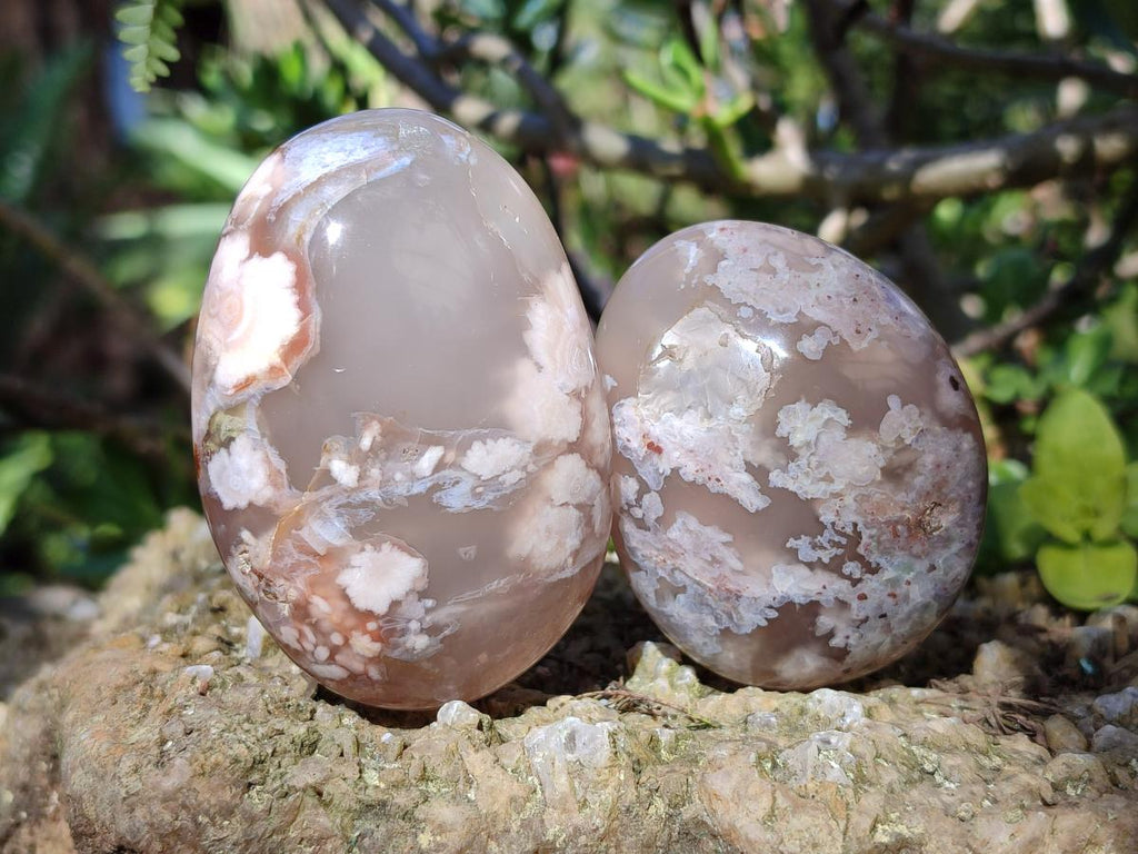 Polished Flower Agate Palm Stones x 12 From Antsahalova, Madagascar - Toprock Gemstones and Minerals 