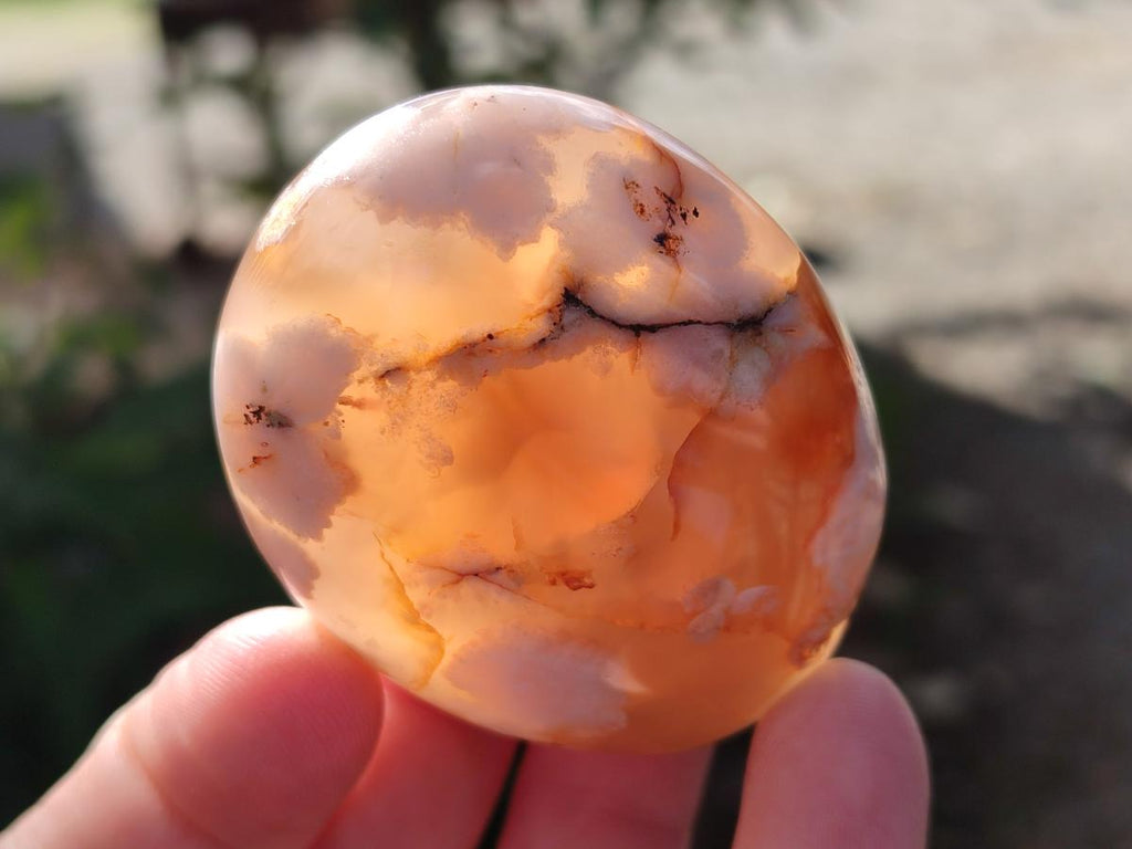 Polished Flower Agate Palm Stones x 12 From Antsahalova, Madagascar - Toprock Gemstones and Minerals 