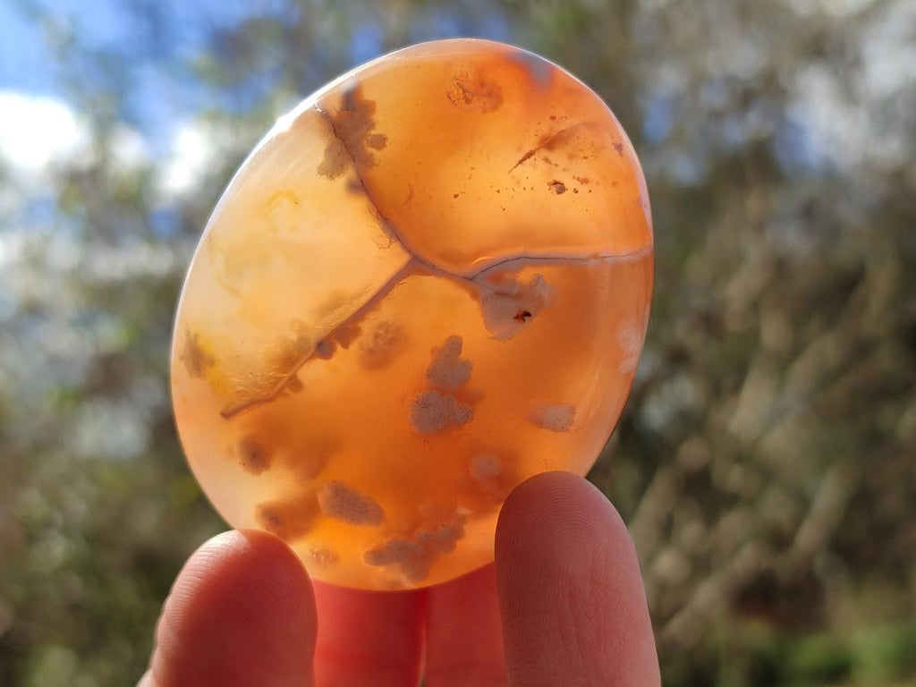 Polished Flower Agate Palm Stones x 12 From Antsahalova, Madagascar - Toprock Gemstones and Minerals 