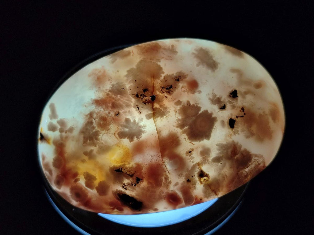 Polished Flower Agate Palm Stones x 12 From Antsahalova, Madagascar - Toprock Gemstones and Minerals 