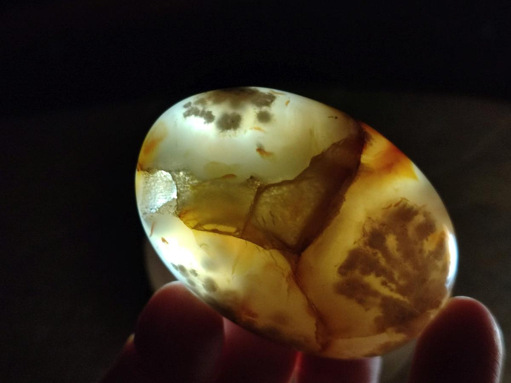 Polished Flower Agate Palm Stones x 12 From Antsahalova, Madagascar - Toprock Gemstones and Minerals 