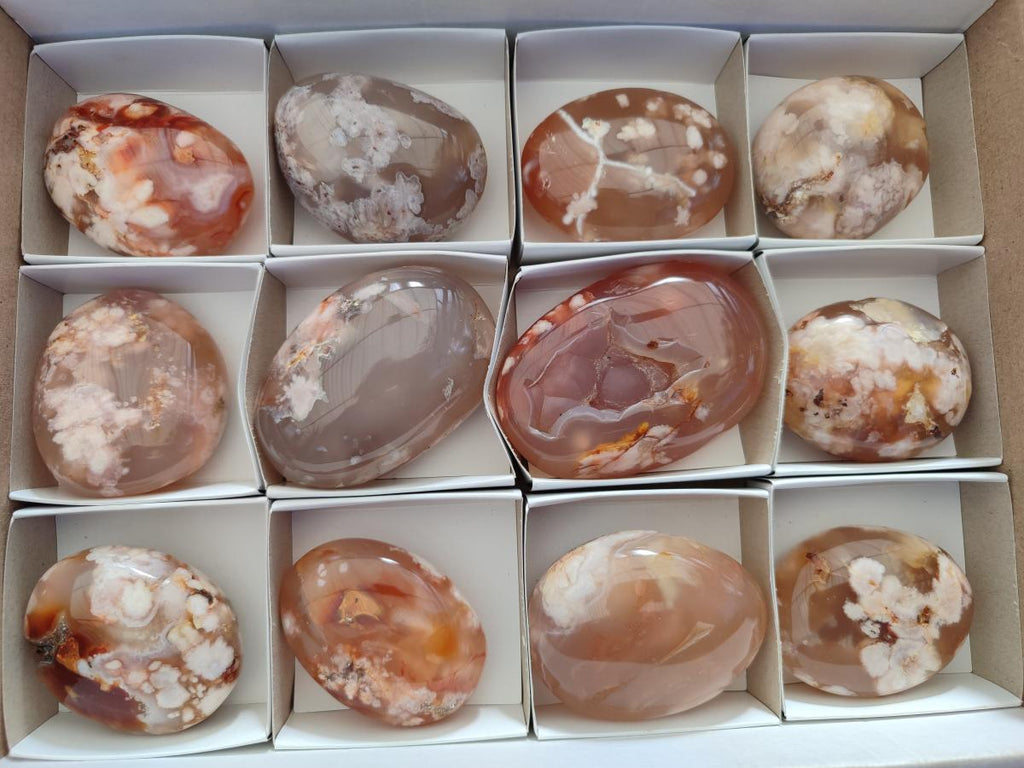 Polished Flower Agate Palm Stones x 12 From Antsahalova, Madagascar - Toprock Gemstones and Minerals 