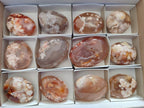 Polished Flower Agate Palm Stones x 12 From Antsahalova, Madagascar - Toprock Gemstones and Minerals 