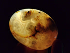 Polished Flower Agate Palm Stones x 12 From Antsahalova, Madagascar - Toprock Gemstones and Minerals 