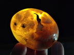 Polished Flower Agate Palm Stones x 12 From Antsahalova, Madagascar - Toprock Gemstones and Minerals 