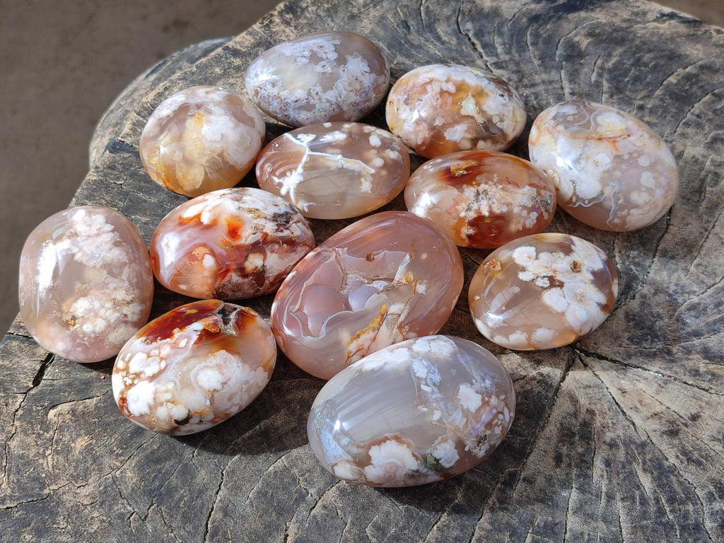 Polished Flower Agate Palm Stones x 12 From Antsahalova, Madagascar - Toprock Gemstones and Minerals 