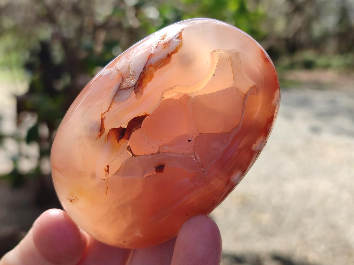 Polished Flower Agate Palm Stones x 12 From Antsahalova, Madagascar - Toprock Gemstones and Minerals 