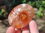 Polished Flower Agate Palm Stones x 12 From Antsahalova, Madagascar - Toprock Gemstones and Minerals 