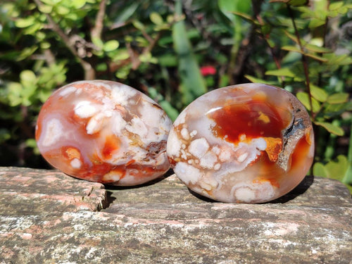 Polished Flower Agate Palm Stones x 12 From Antsahalova, Madagascar - Toprock Gemstones and Minerals 