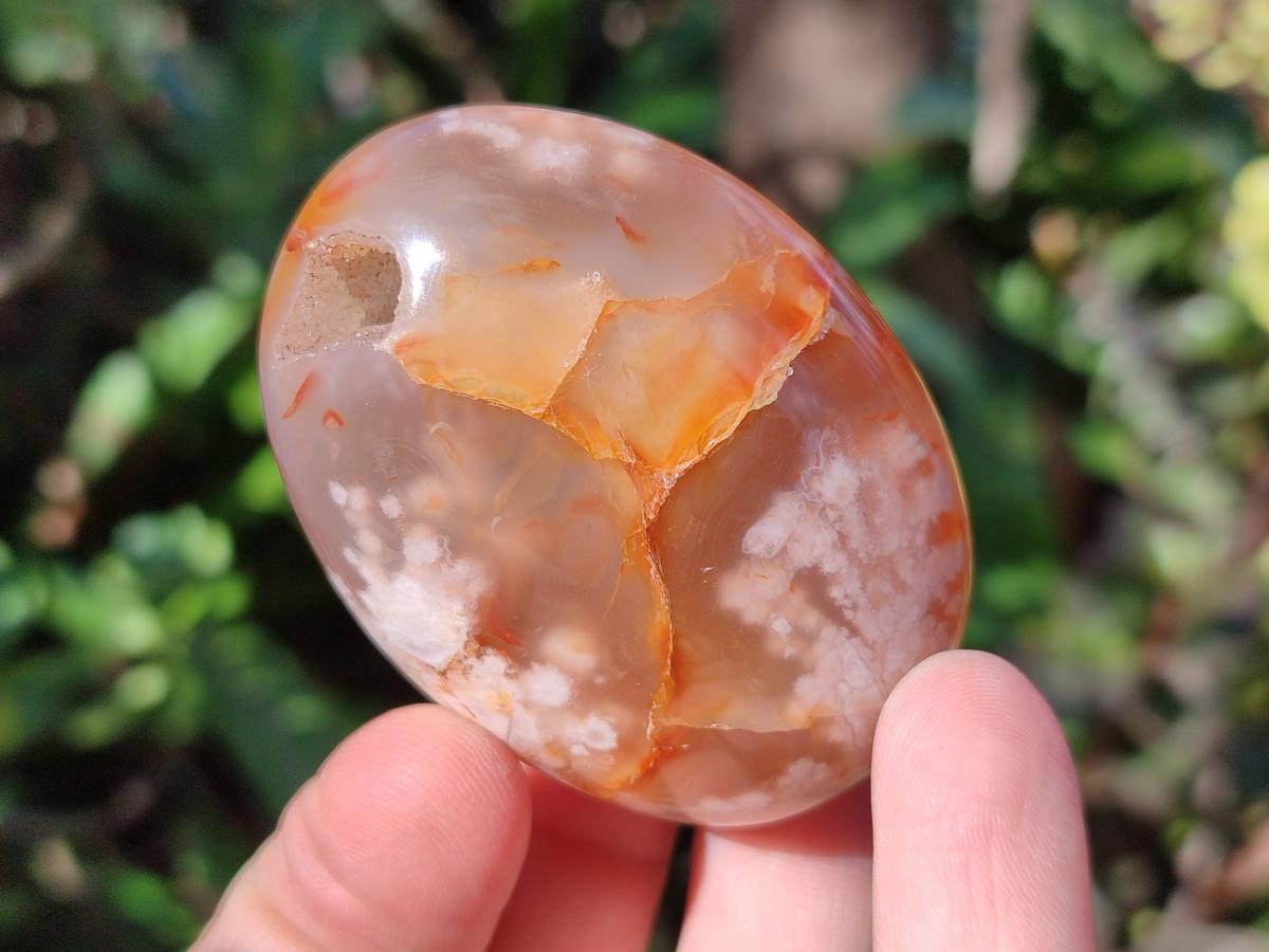 Polished Flower Agate Palm Stones x 12 From Antsahalova, Madagascar - Toprock Gemstones and Minerals 