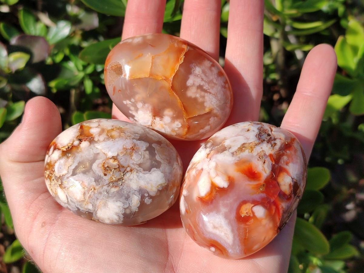 Polished Flower Agate Palm Stones x 12 From Antsahalova, Madagascar - Toprock Gemstones and Minerals 