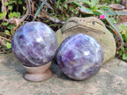Polished Chevron Amethyst Spheres x 2 From Madagascar - Toprock Gemstones and Minerals 